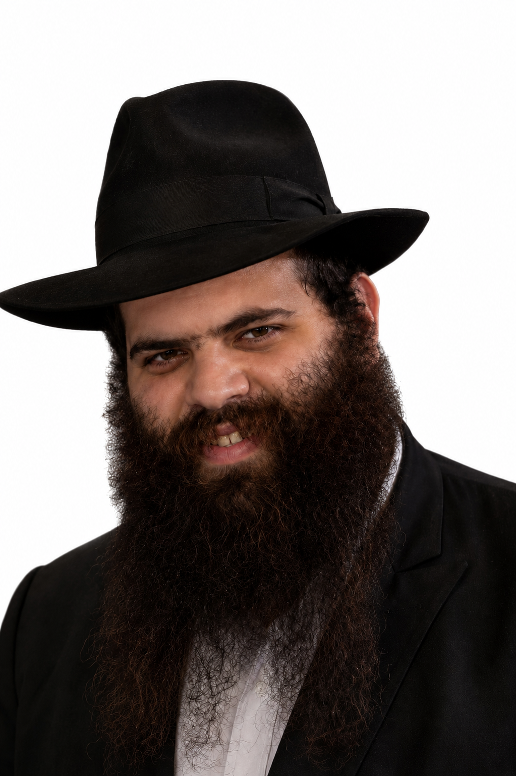 Rabbi Shneor Dikshtein